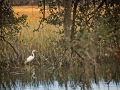 Jekyll_027